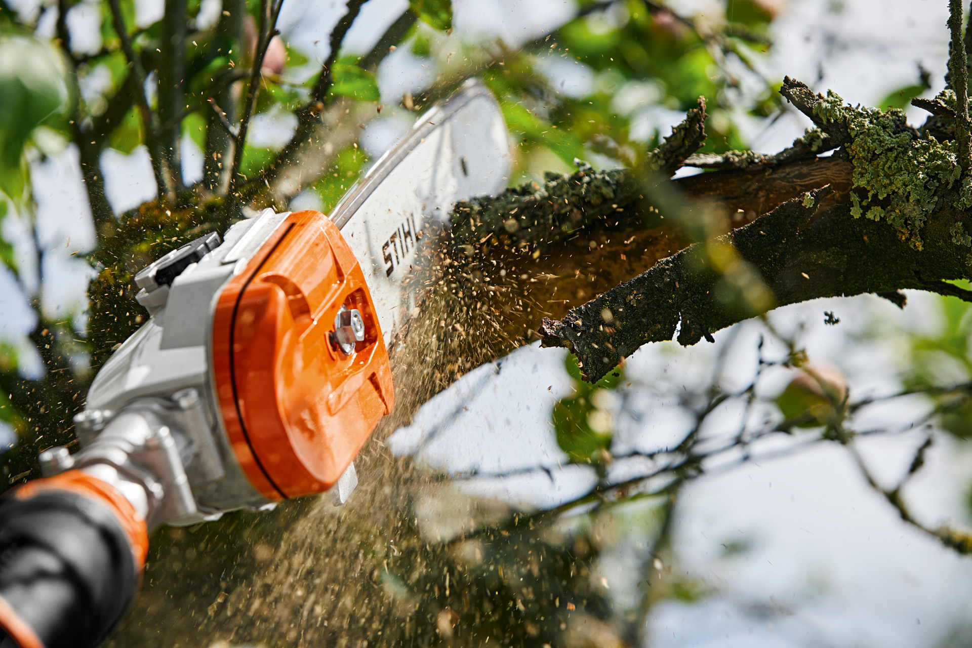 Perche élagueuse sur batterie HTA 135 | STIHL
