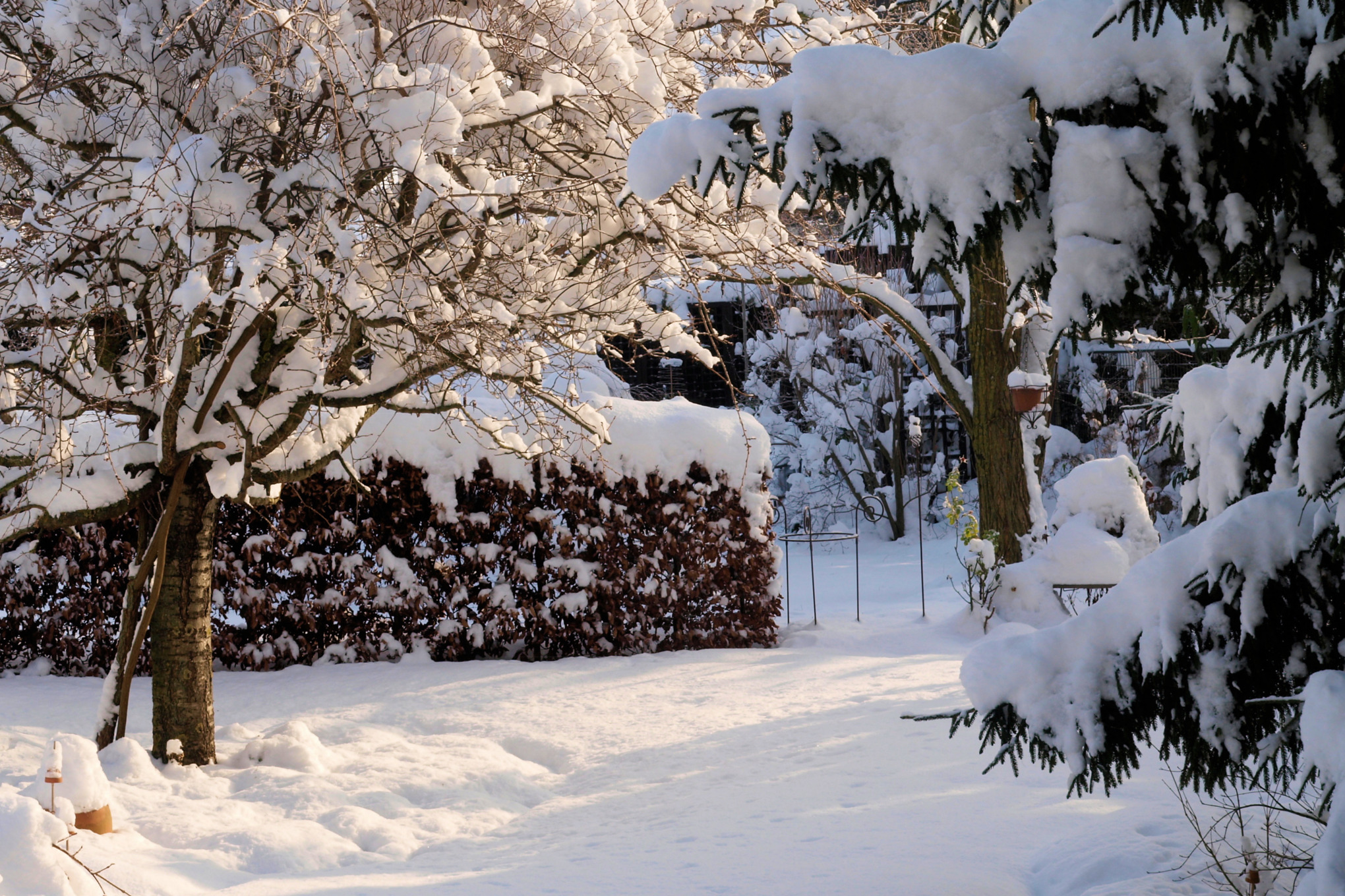 Tuin bedekt met sneeuw 
