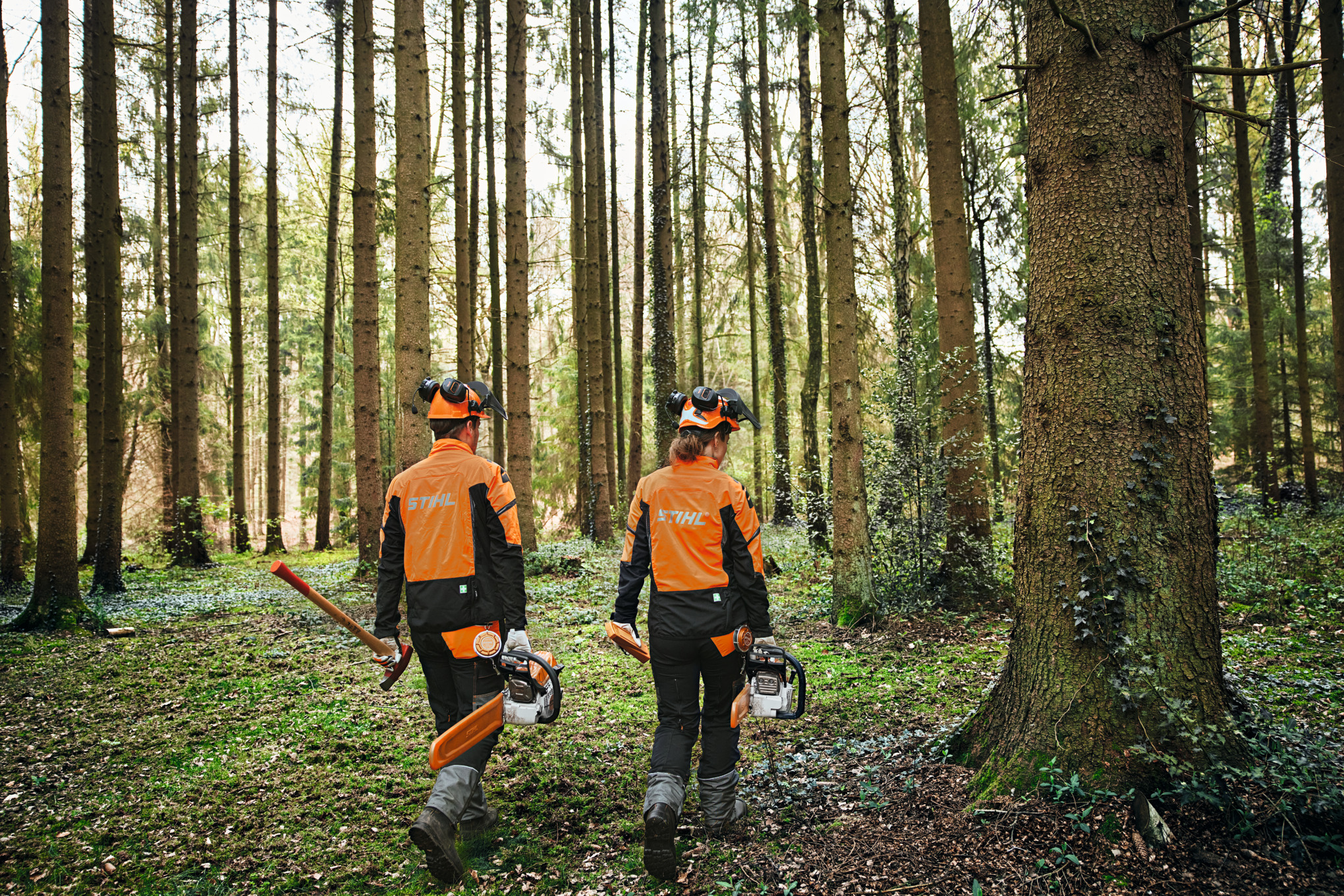 Twee mensen in het bos in beschermende uitrusting met kettingzagen en bijl.