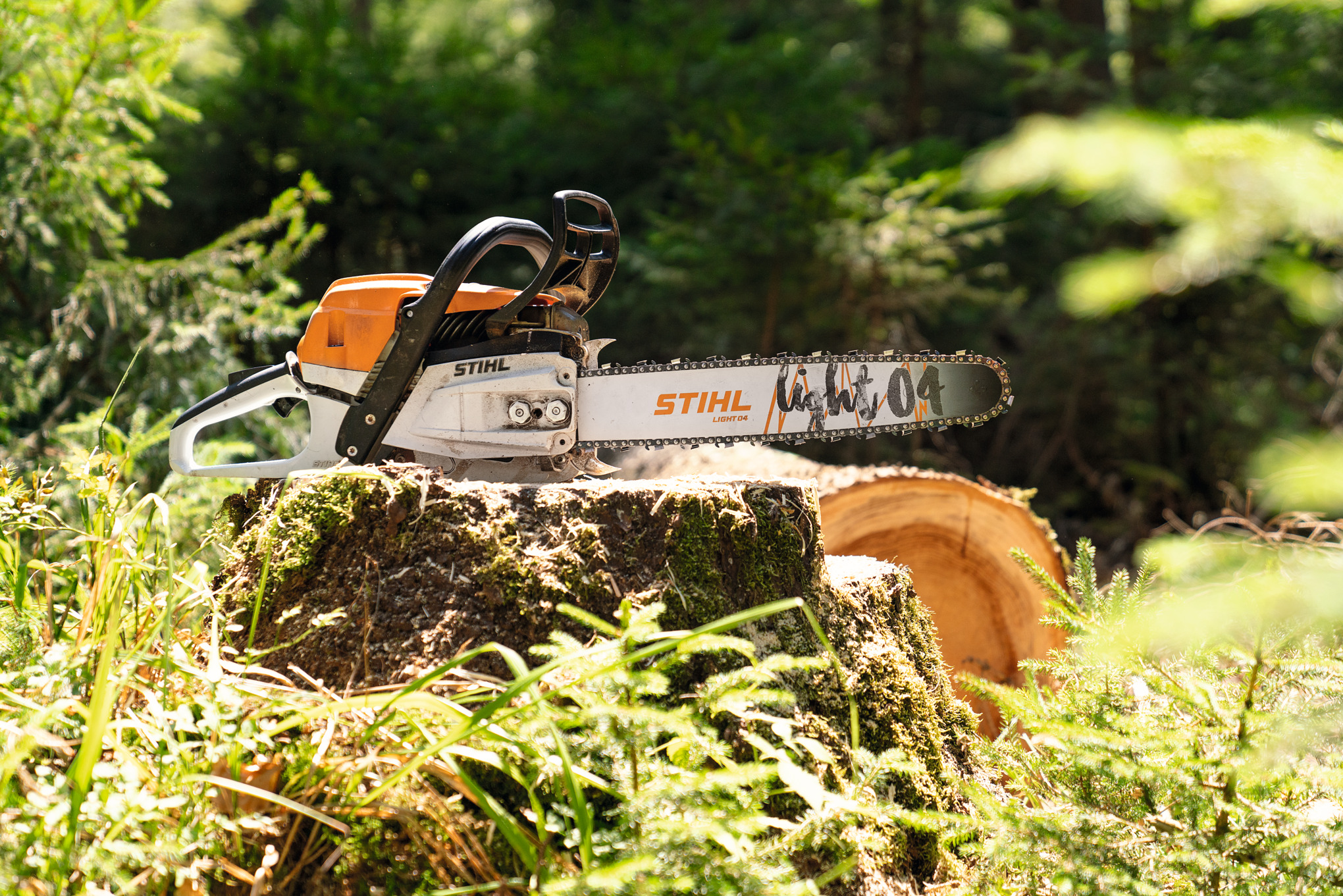 Tronçonneuse à essence STIHL MS&nbsp;261&nbsp;C-M sur un tronc d’arbre en forêt