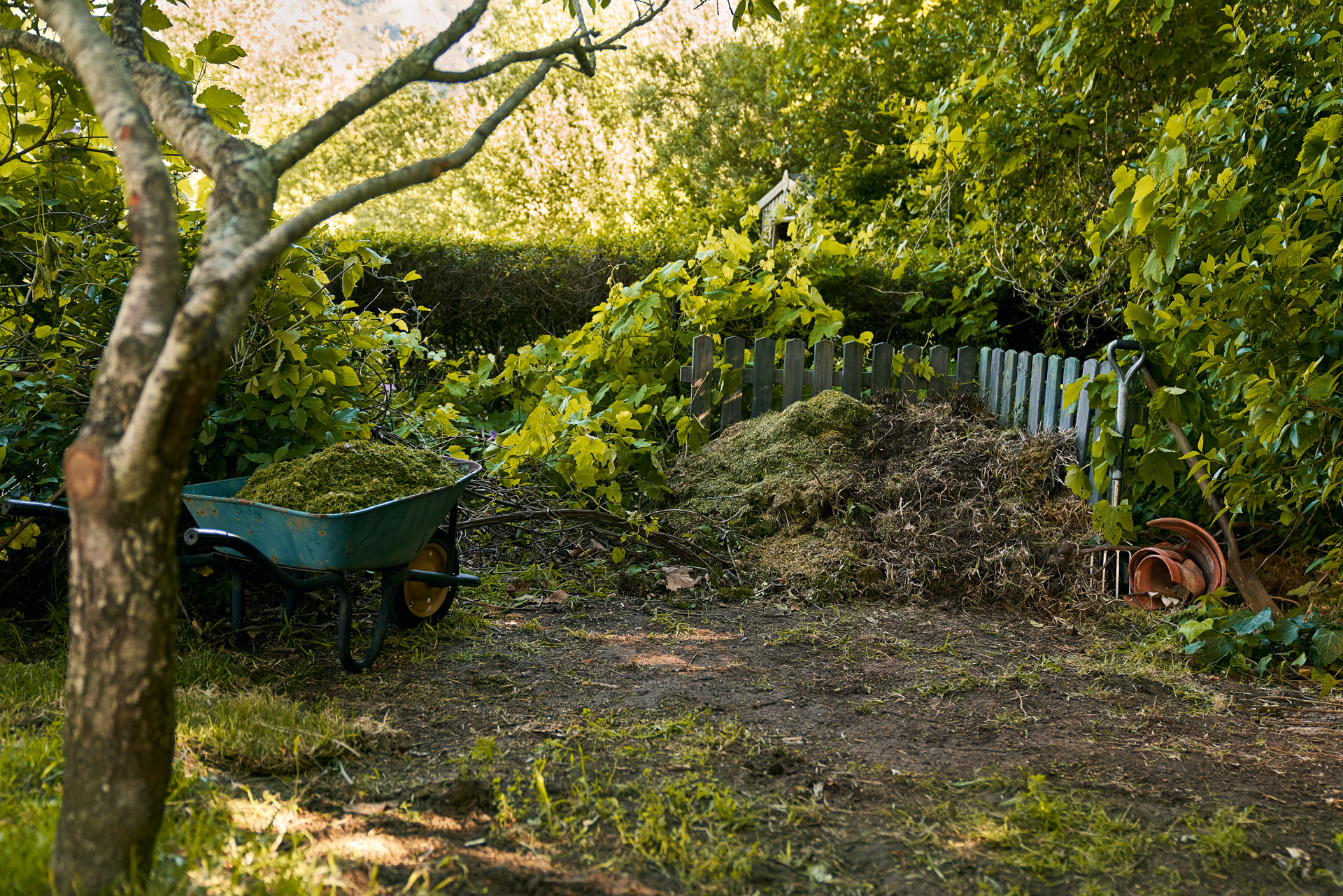 Een composthoop en een kruiwagen in een schaduwrijke hoek van een tuin