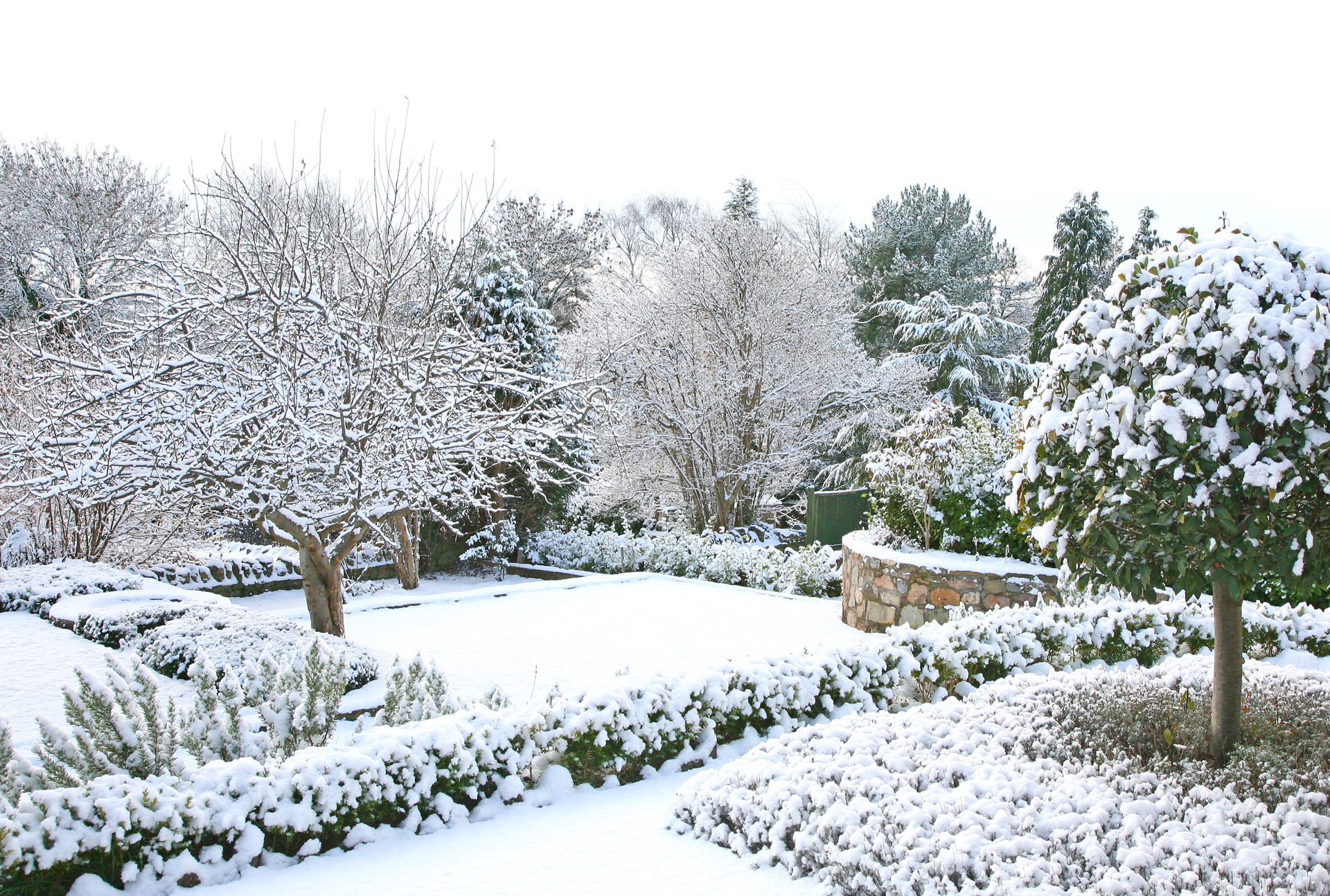 Een tuin onder de sneeuw in de winter