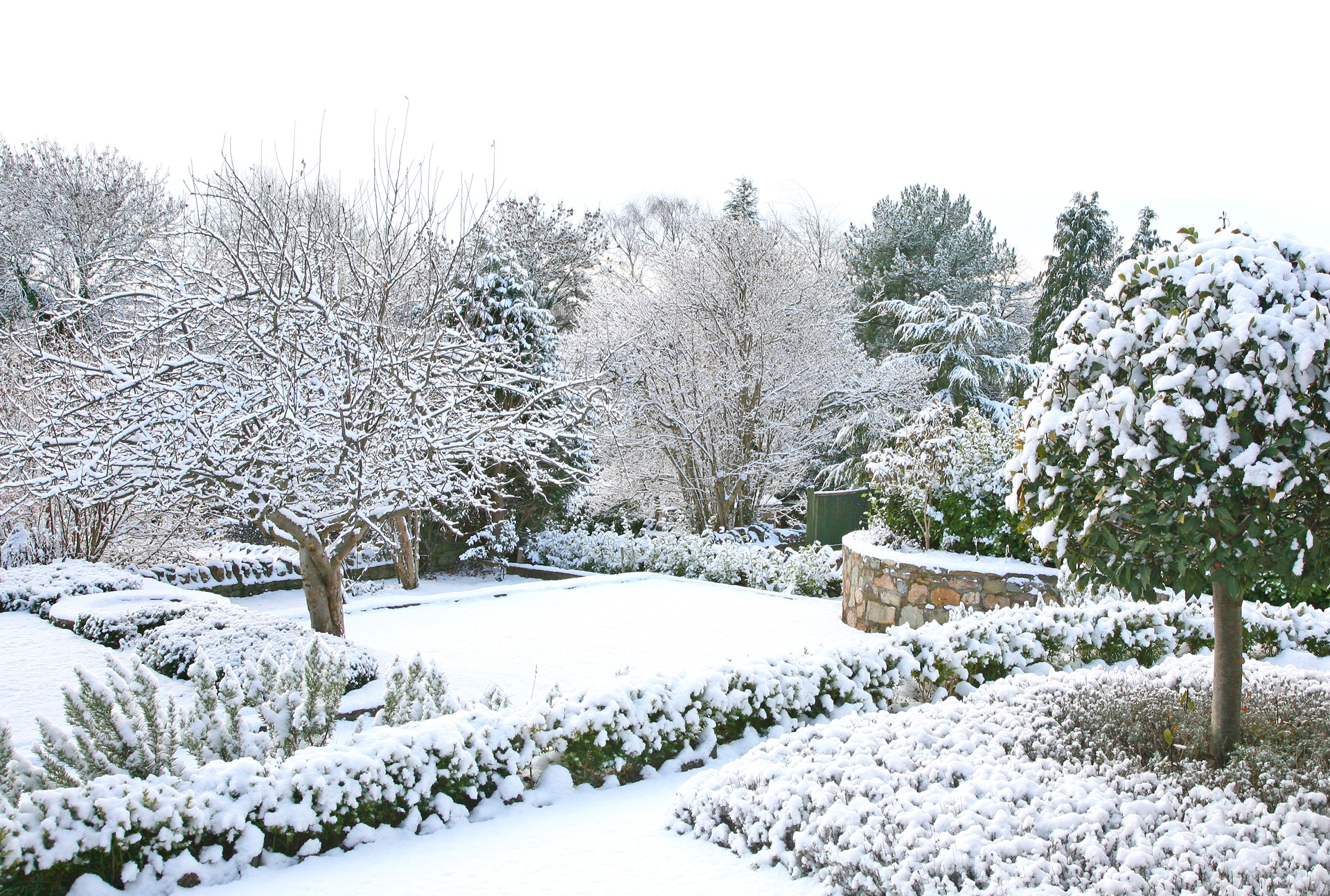 Een tuin onder de sneeuw in de winter