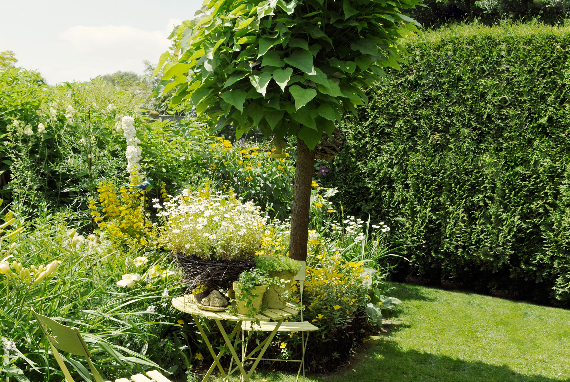 Kleine tuin met grasveld, tuinmeubels en plantenbakken op de voorgrond en trompetboom, zuilvormige struiken erachter.