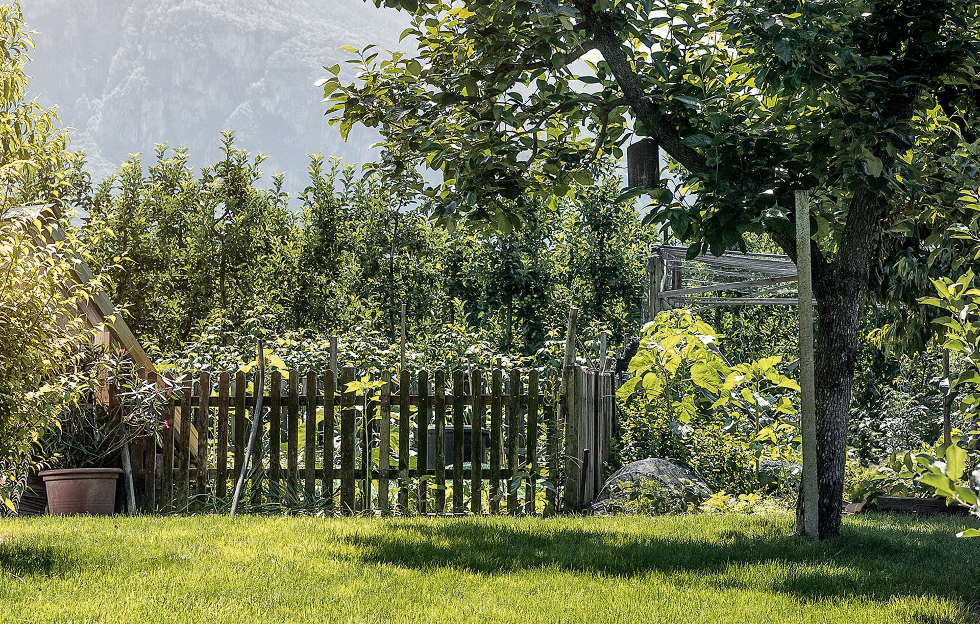 Petit jardin avec pelouse, buissons et arbres sur les côtés, barrière en bois, forêt et montagnes à l'arrière-plan.