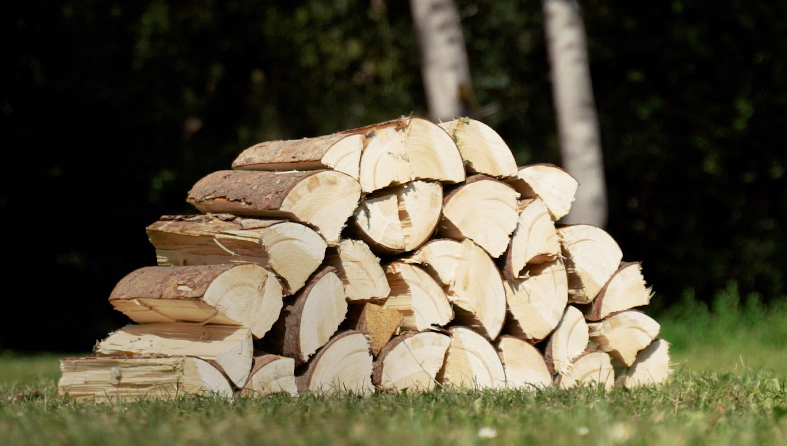 Stapel houtblokken na het zagen van brandhout