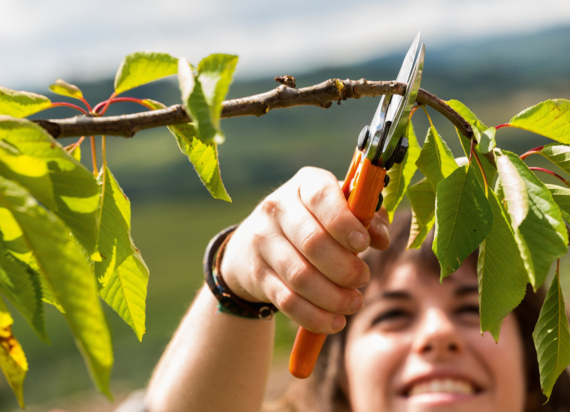 Notre Ambassadeur Thomas fait une démonstration du Porte lime 2 en 1 pour  chaîne - STIHL ! 