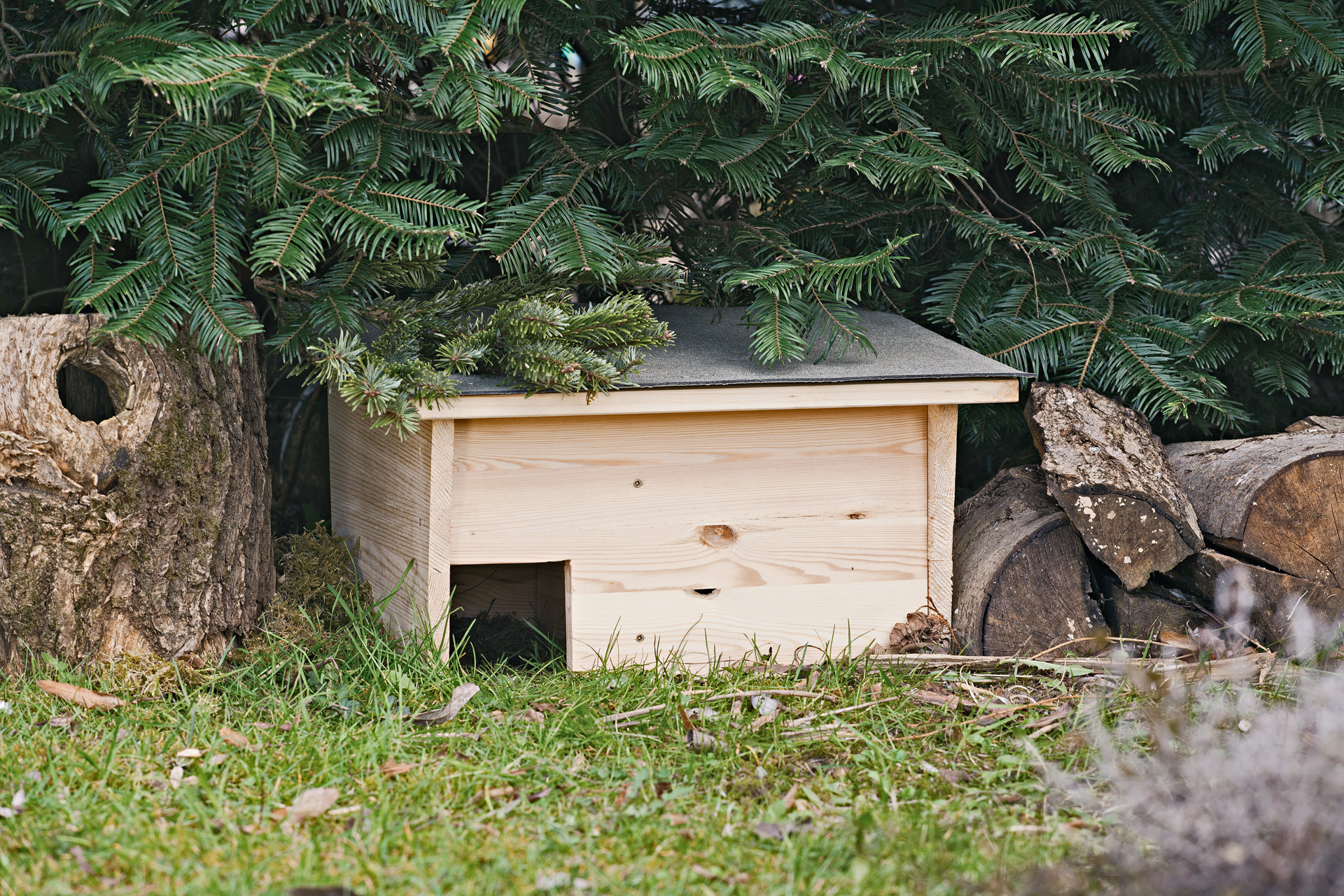 Een DHZ egelhuisje in een tuin onder een den