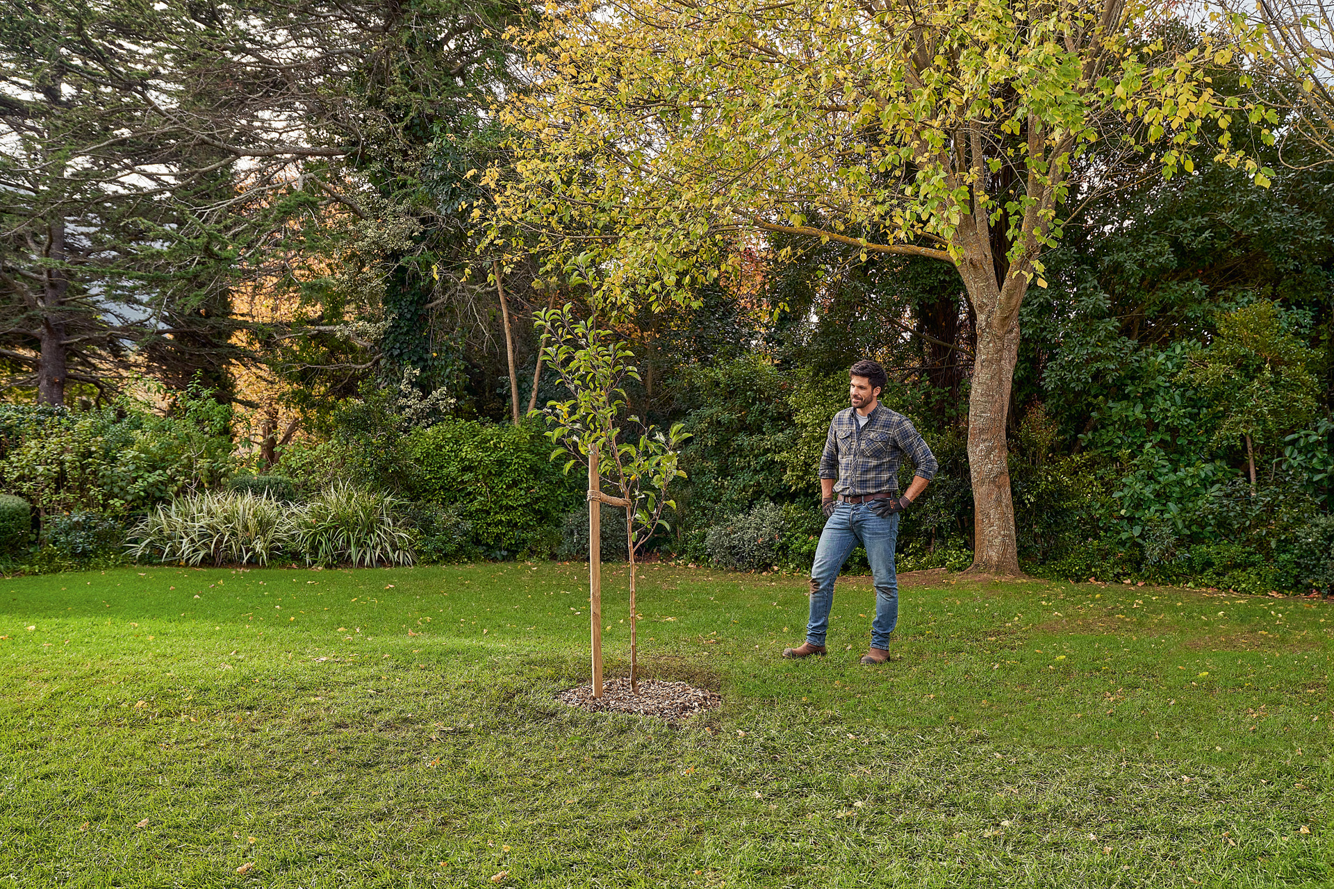 Een man staat in de tuin naast een nieuw geplante boom
