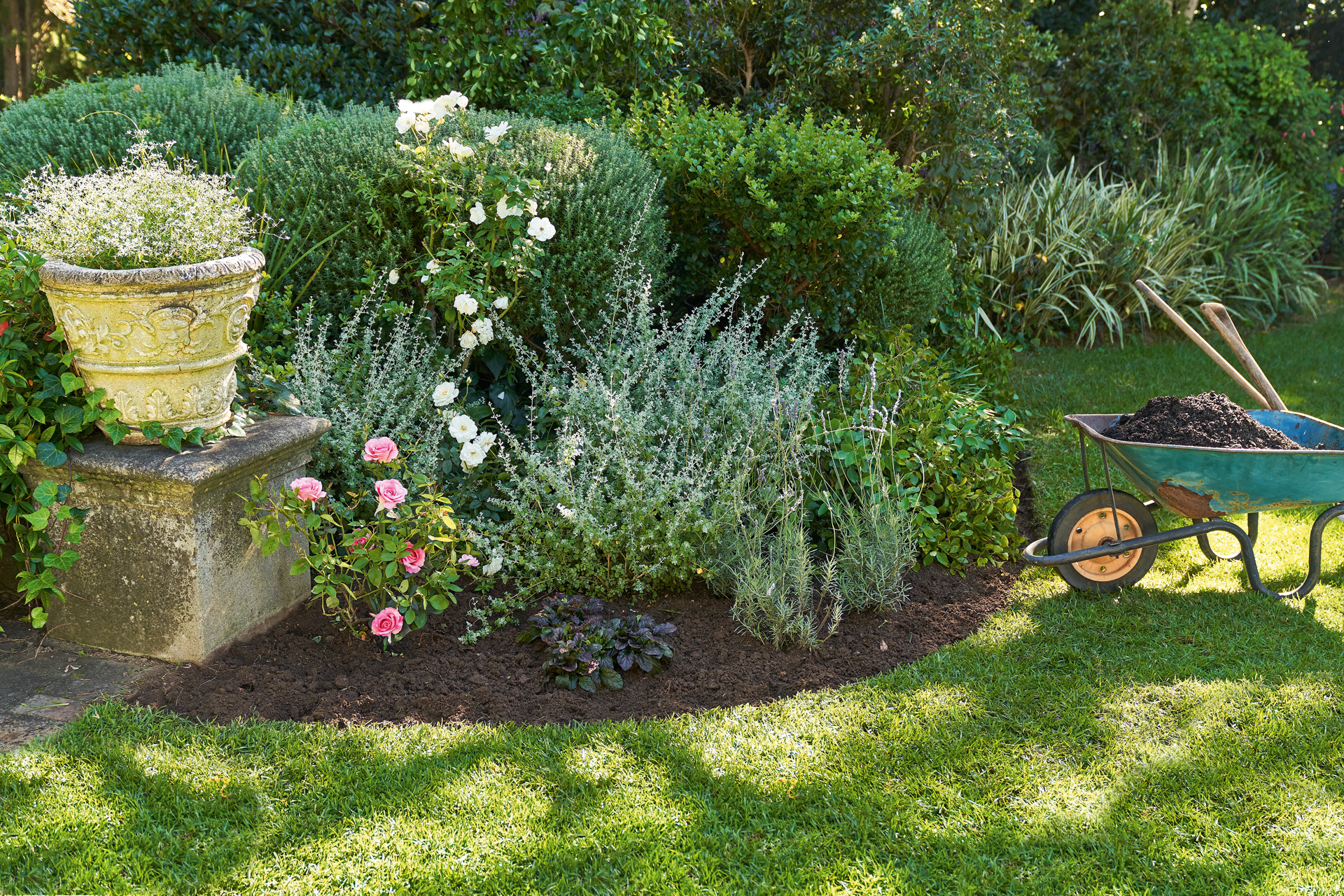 Parterre de plantes de jardin nécessitant peu d’eau, à côté une brouette avec de la terre et des outils de jardinage