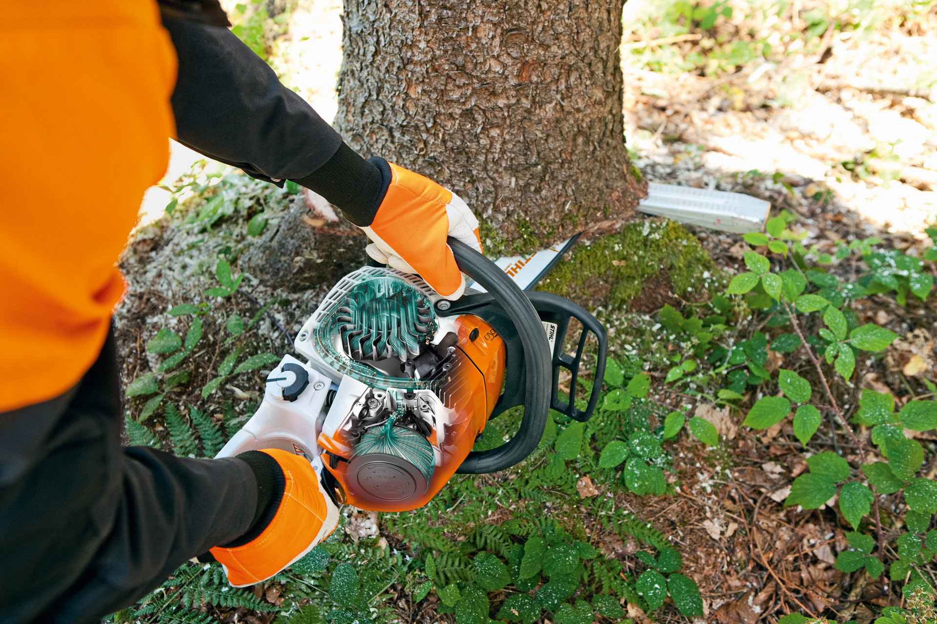 Boomstam wordt verzaagd met STIHL benzinekettingzaag MS 241 C-M