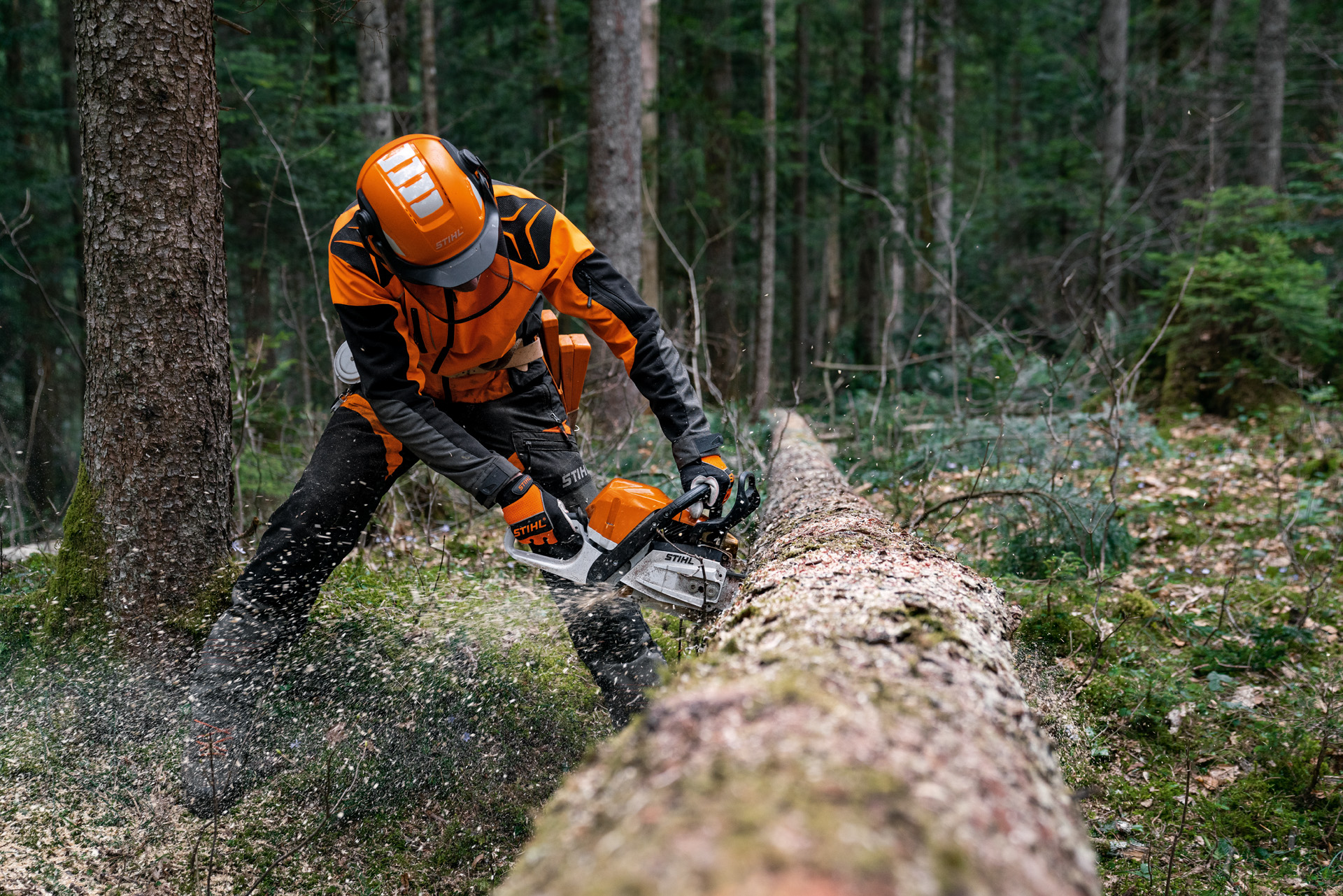 Un homme portant un équipement de protection tronçonne un tronc d'arbre abattu à l'aide d'une tronçonneuse thermique STIHL MS 400 C-M avec piston en magnésium