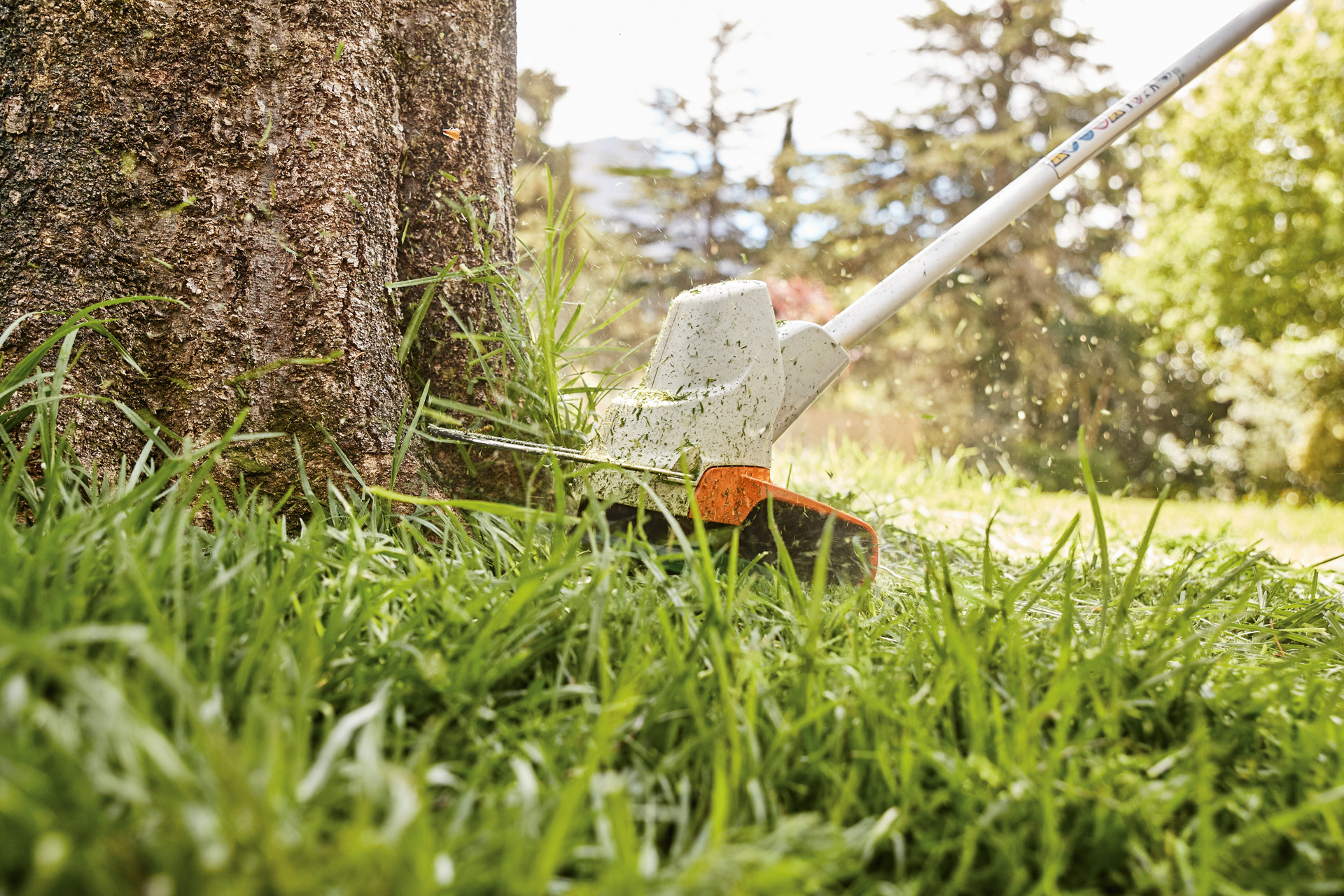 Graskanten rond een boom trimmen met een STIHL FSA 57 accukantenmaaier