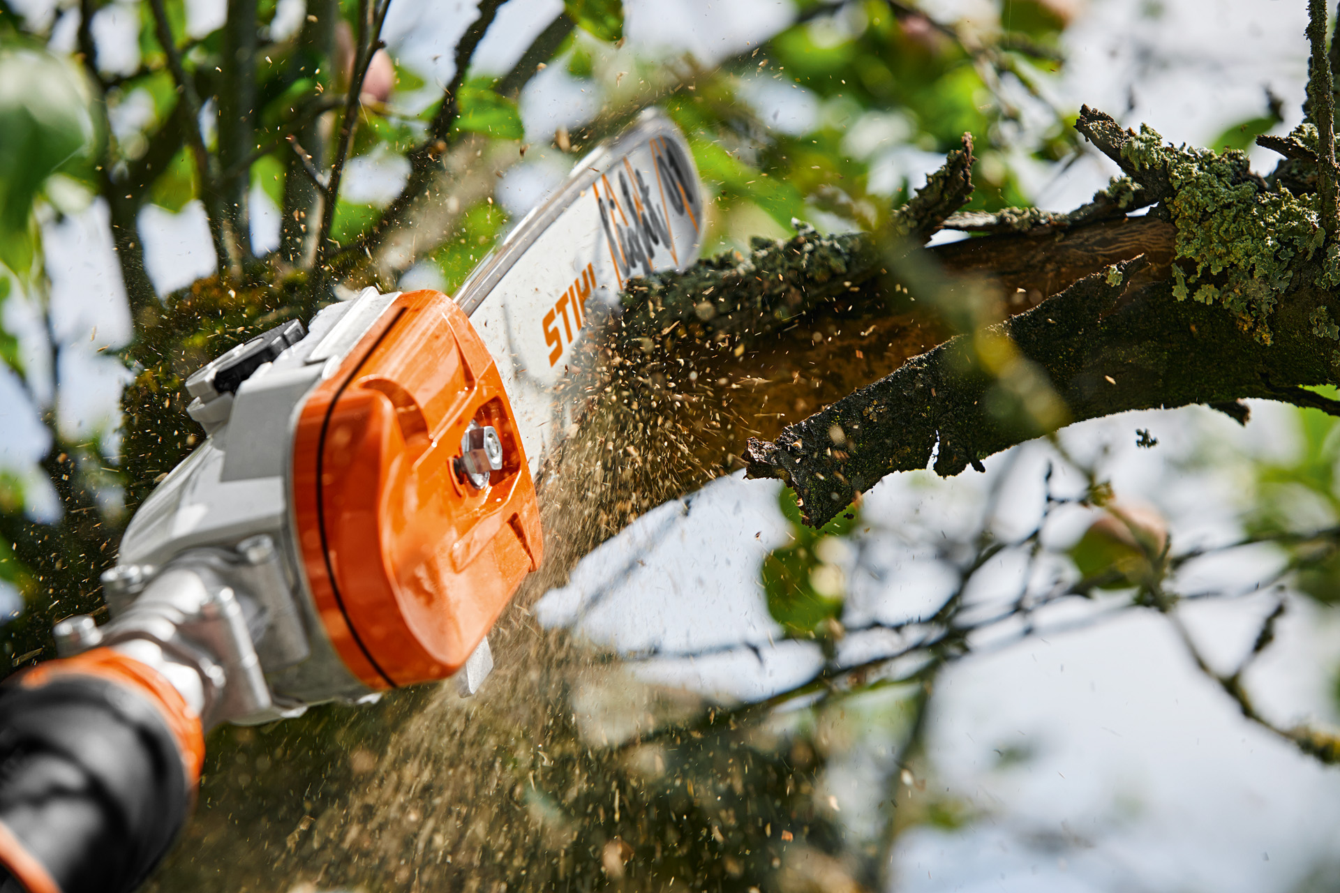Met een STIHL GTA26 accusnoeizaag wordt een tak van de fruitboom gesnoeid