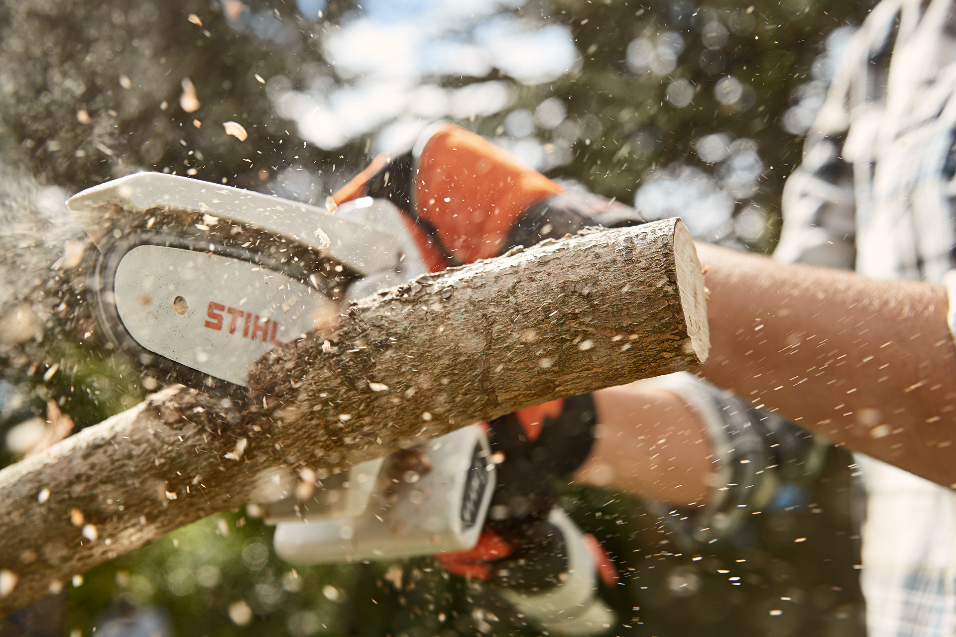 Een tak wordt van een fruitboom gezaagd met een STIHL GTA 26 accusnoeizaag