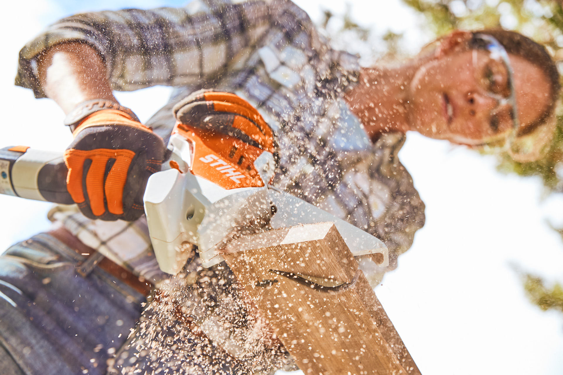 Vrouw met veiligheidsbril zaagt een boomschijf met de STIHL accusnoeizaag GTA 26