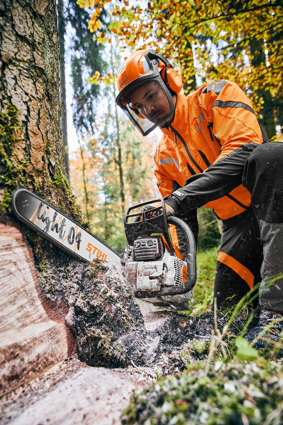 Un homme avec une tronçonneuse à moteur thermique MS 261 C-M équipée d'un guide-chaîne STIHL Light 04 scie un arbre.