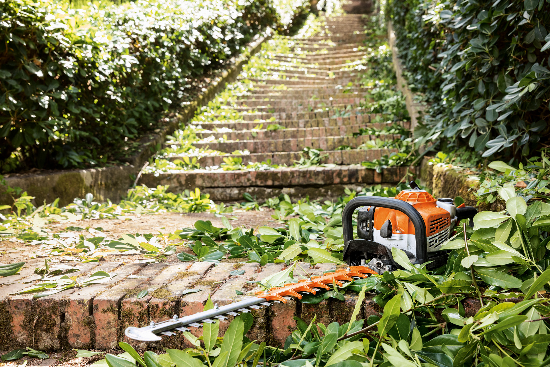 temperament Gangster Uitsluiting Onderhoud van je heggenschaar | STIHL | STIHL