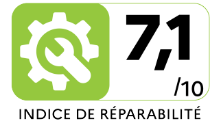 Repairability index