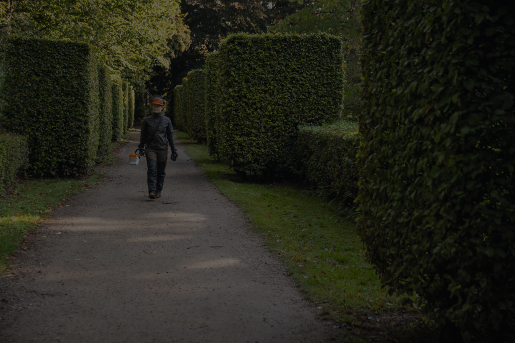 Een vrouw in STIHL veiligheidsuitrusting loopt met een accumachine in de hand over een pad in een park, langs hoekig gesnoeid struikgewas