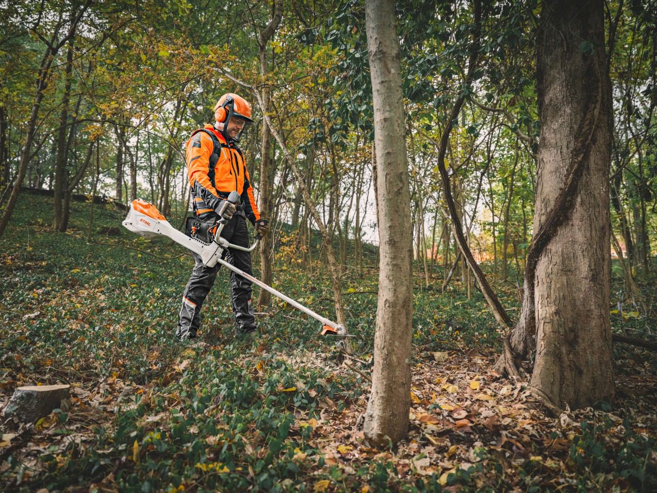 Une personne portant un équipement de protection coupe les broussailles sauvages à l'aide d'une débroussailleuse STIHL.