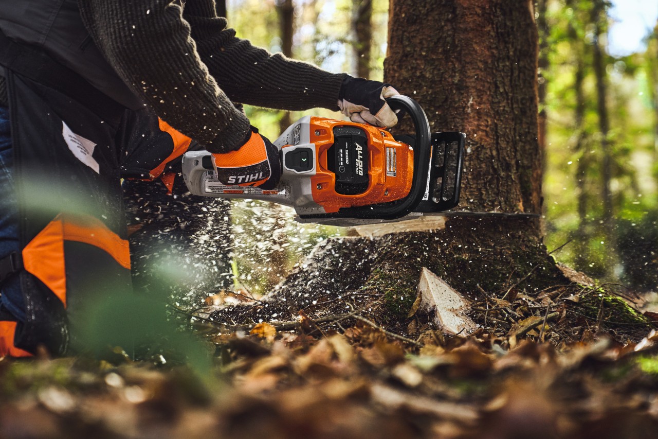 Travaux d'abattage à l'aide de la tronçonneuse STIHL ALLPRO MSA 260