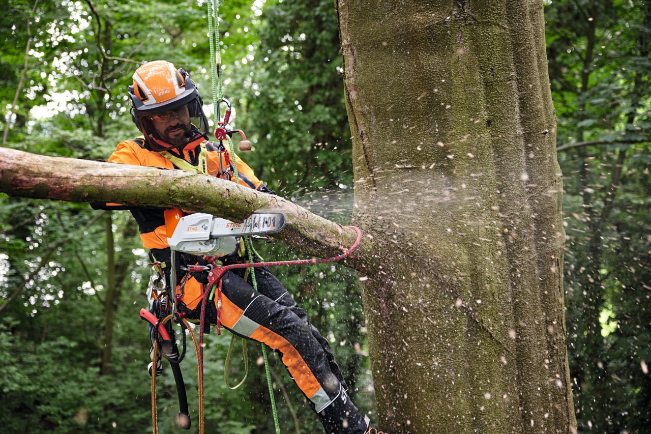 Arboriste avec MSA 220 TC