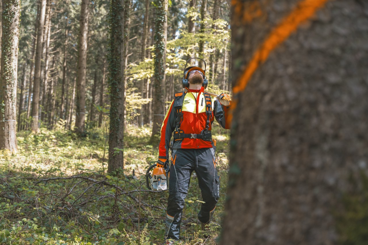 Markus Küchler staat met een STIHL machine in de hand voor een met kleur gemarkeerde boom 