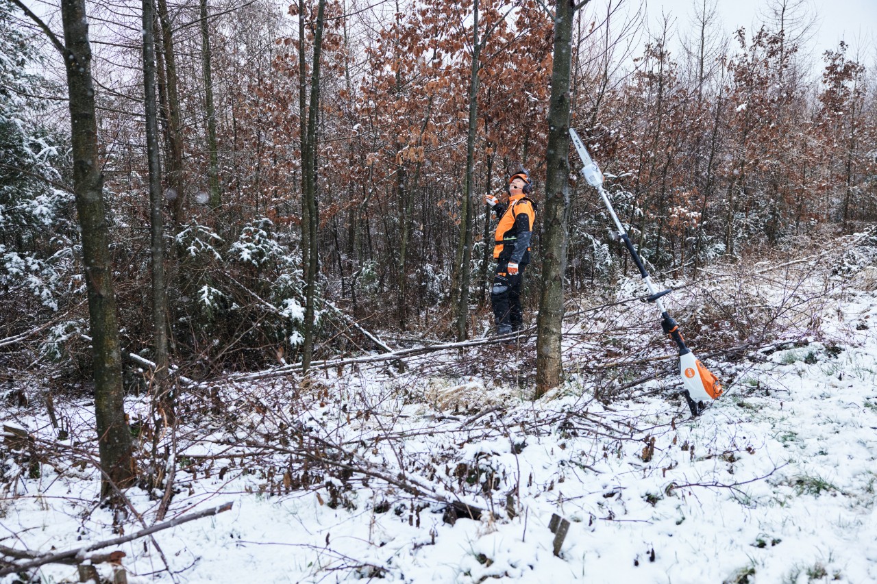 Een man werkt in veiligheidsuitrusting in een besneeuwd bos met op de voorgrond een STIHL HTA 150 accuhoogsnoeier die tegen een boomstam staat