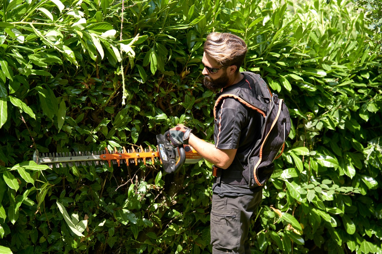 Een professional in veiligheidsuitrusting snoeit een heg met een STIHL accuheggenschaar