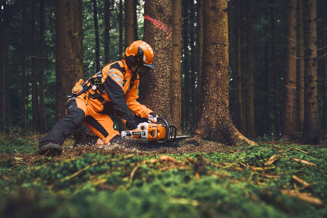 Een bosarbeider met een STIHL persoonlijke beschermingsuitrusting snoeit een boom in het bos met een STIHL accukettingzaag