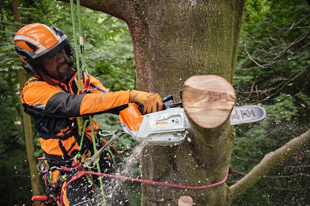 Boomverzorger met de accukettingzaag STIHL MSA 220 T in het bos
