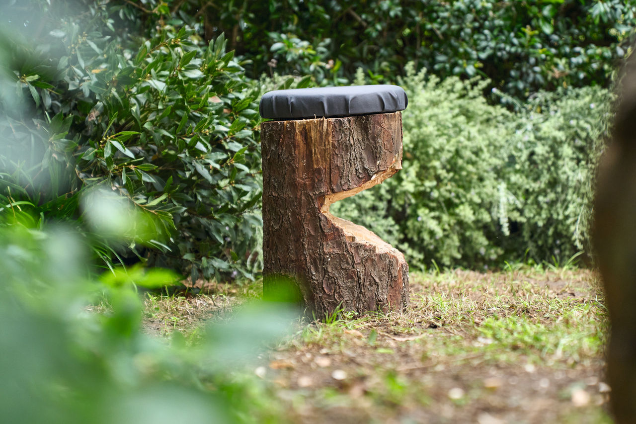 Tabouret TIMBERSPORTS® en bois avec assise rembourrée