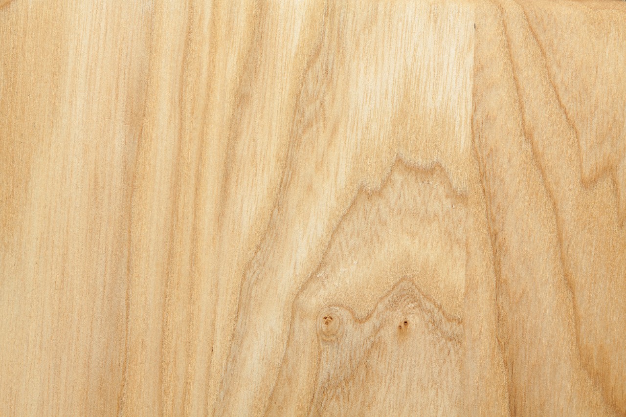 beech tree texture; Shutterstock ID 270511712; Purchase Order: Stock Material; Job: sti-3026; Client/Licensee: Stihl; Other: Isabell