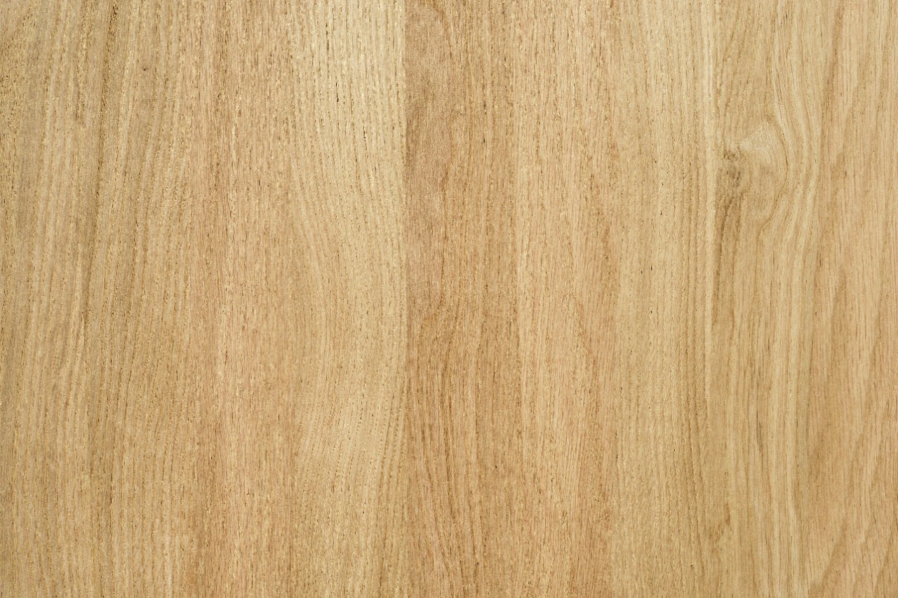A fragment of a wooden panel hardwood; Shutterstock ID 563814577; Purchase Order: Stock Material; Job: sti-3026; Client/Licensee: Stihl; Other: Isabell