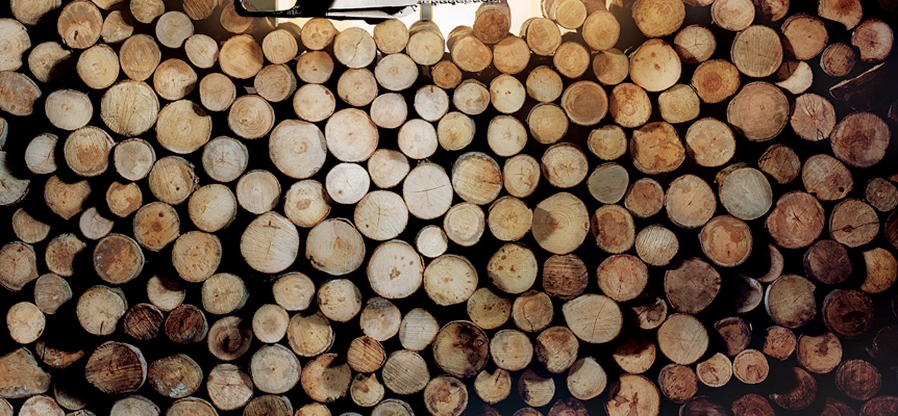 Wood pile