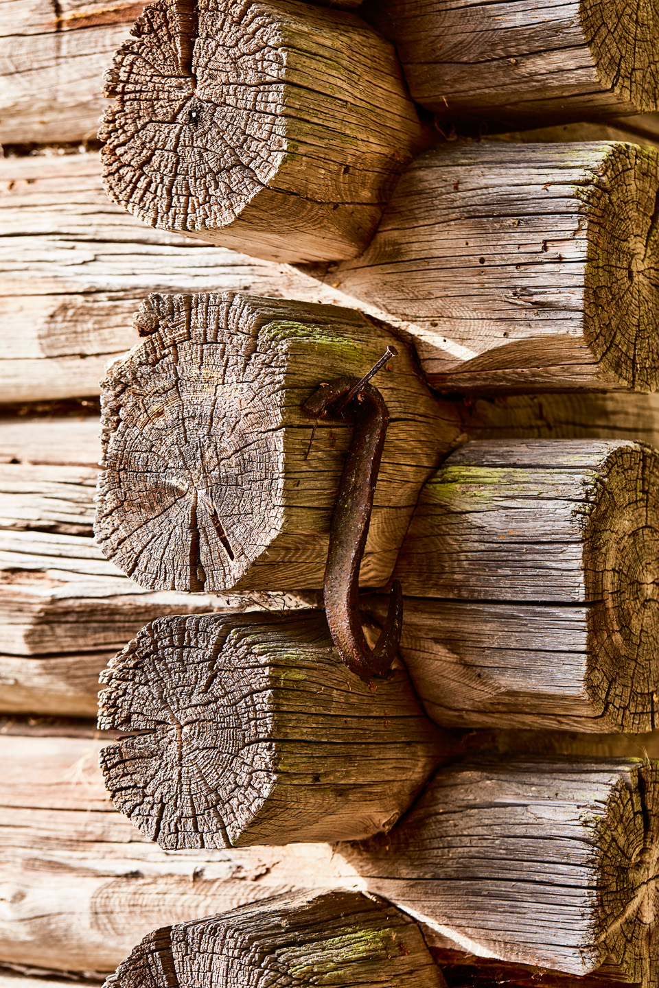 I-STIHL_NATURE_PROXIMITY_SCANDINAVIA-IM-015