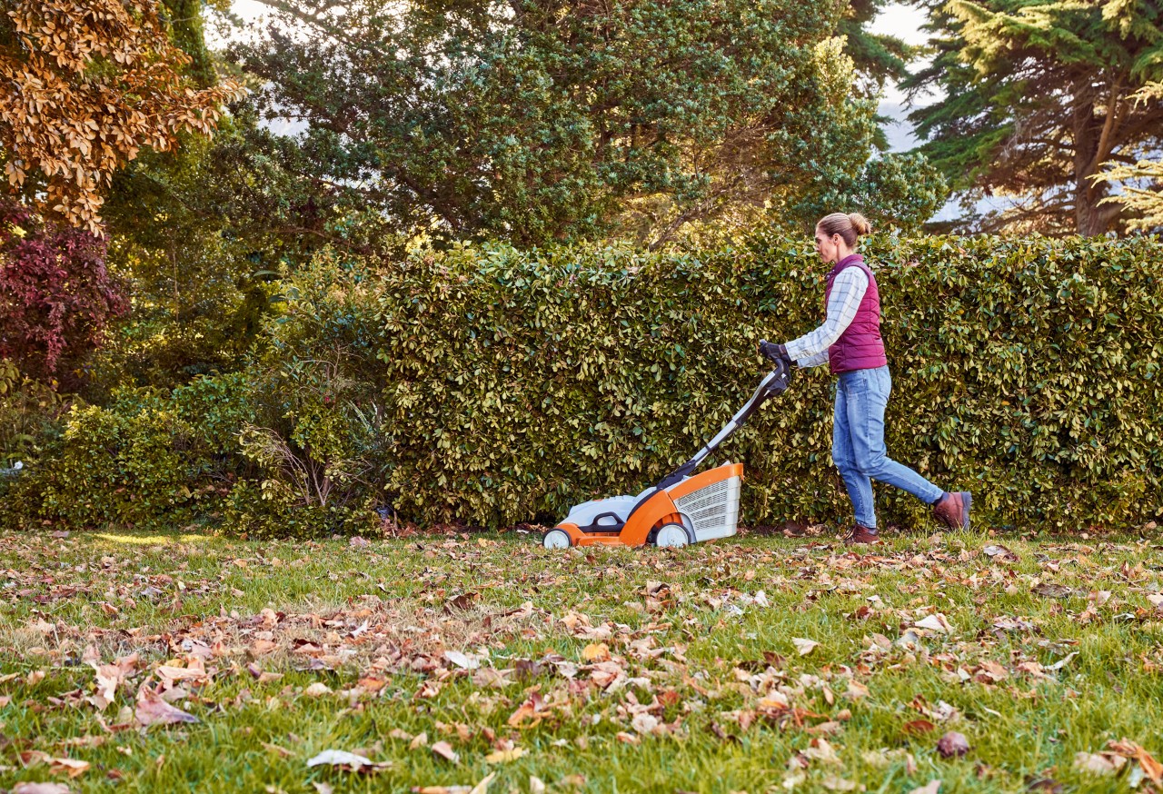 Vrouw maait met een STIHL accugrasmaaier RMA 339 C tijdens het herfstonderhoud een gazon met bladeren vóór een heg