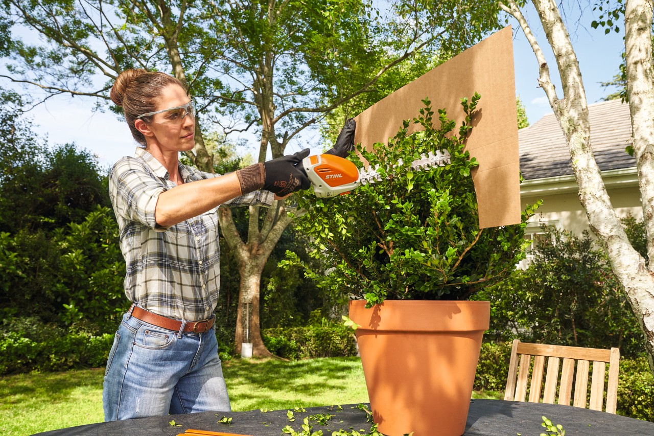 Een vrouw snoeit een buxus in een pot in de vorm van een bol